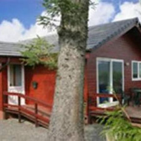Heron Lodge, Edge Of Mabie Forest Dumfries Eksteriør bilde